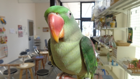 20160131-dsc04359.jpg 20160131-dsc04359.jpg