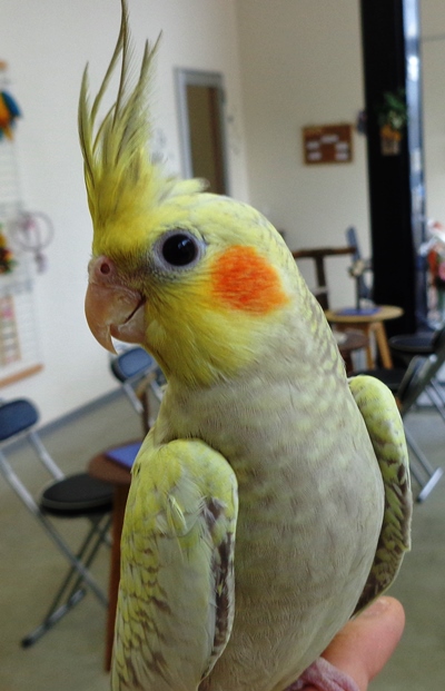 20160731-dsc05154.jpg 20160731-dsc05154.jpg
