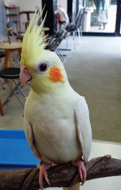20160731-dsc05158.jpg 20160731-dsc05158.jpg