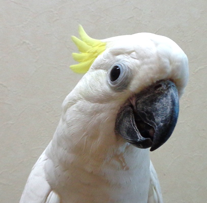 20160831-aru1.jpg 20160831-aru1.jpg