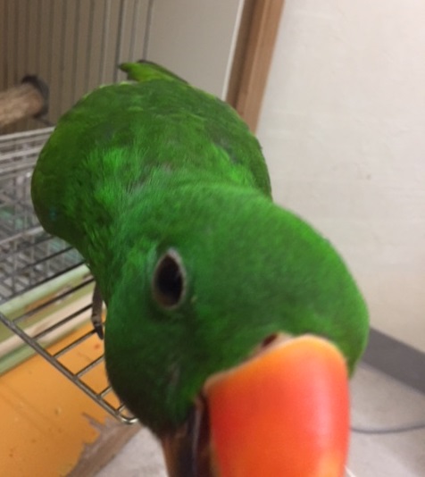 20171130-image2.jpeg 20171130-image2.jpeg