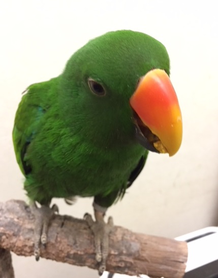 20171231-image7.jpeg