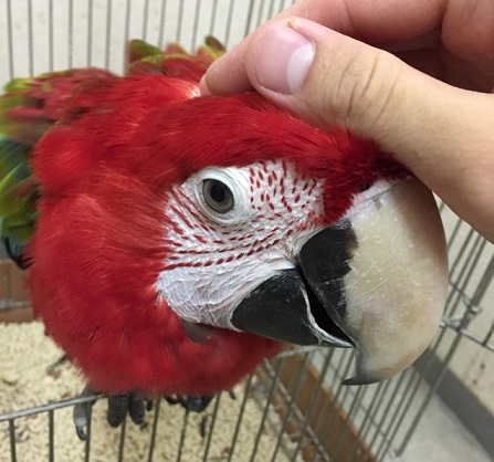 20180731-benichan3.jpg 20180731-benichan3.jpg