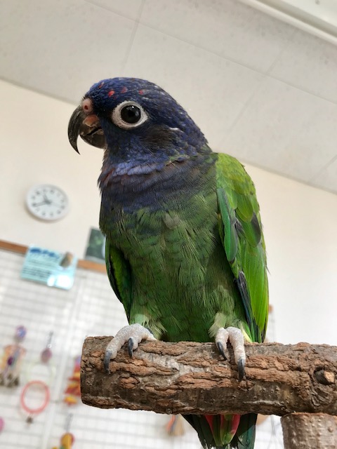 20181128-kami1.jpg 20181128-kami1.jpg