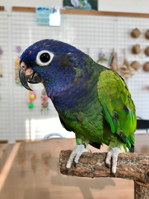20181128-kami2.jpg 20181128-kami2.jpg