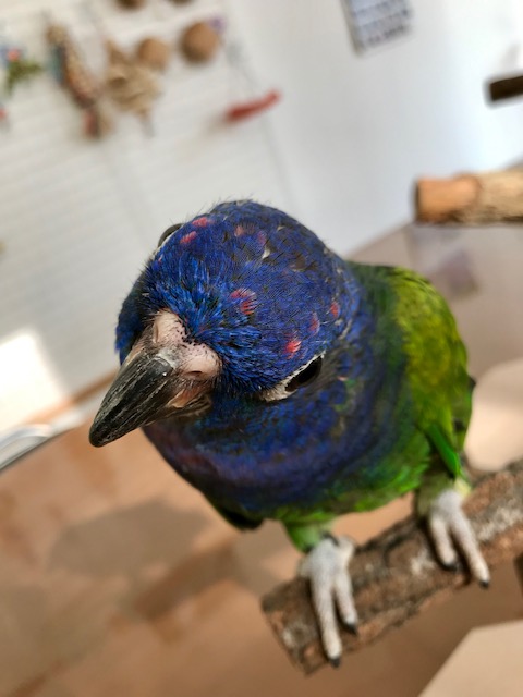 20181128-kami3.jpg 20181128-kami3.jpg