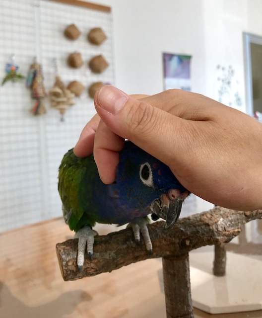 20181128-kami4.jpg 20181128-kami4.jpg