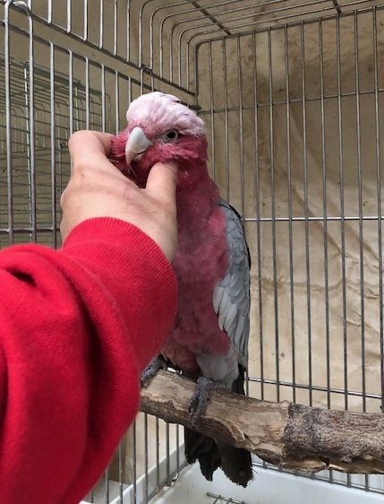 20181231-81________________________.jpg