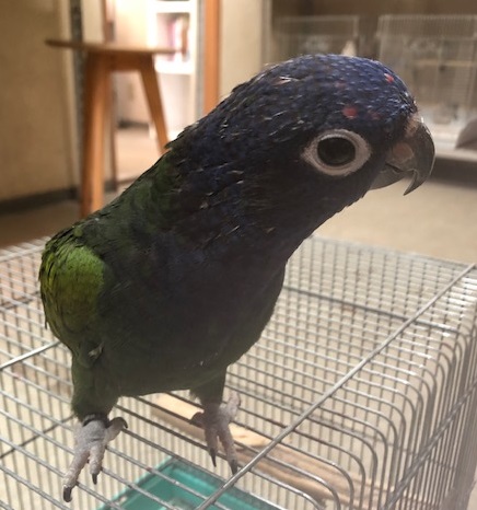 20181231-image2.jpeg 20181231-image2.jpeg