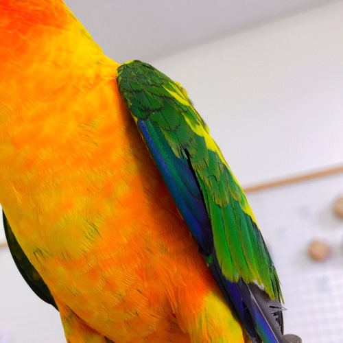 20190820-image1.jpeg 20190820-image1.jpeg
