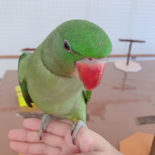 20191021-04.jpeg 20191021-04.jpeg