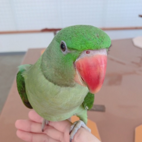 20191021-o1.jpeg 20191021-o1.jpeg