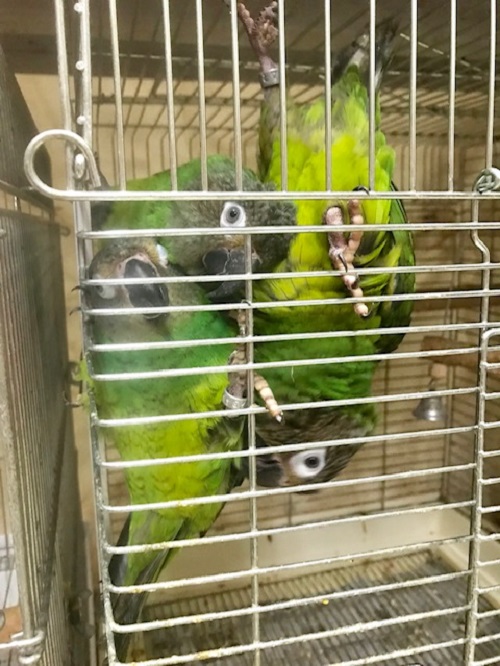 20191123-image1.jpeg 20191123-image1.jpeg
