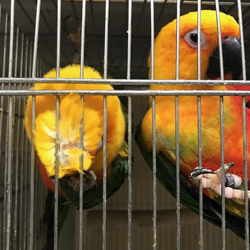 20191123-image3.jpeg 20191123-image3.jpeg