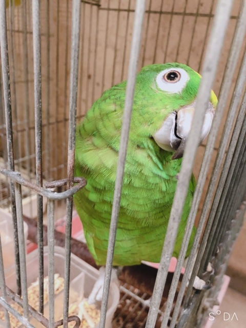 20200924-burogu3.jpg 20200924-burogu3.jpg