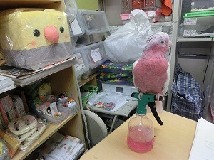 20150512-1.jpg 20150512-1.jpg