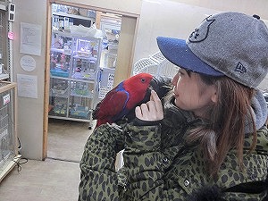 20150512-10.jpg 20150512-10.jpg