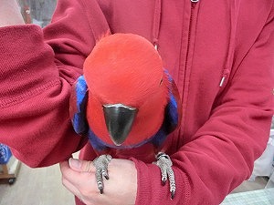 20150512-11.jpg 20150512-11.jpg