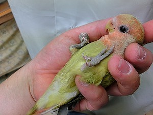 20150512-4.jpg 20150512-4.jpg