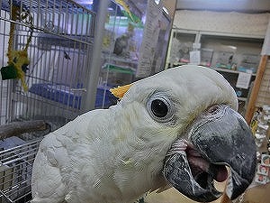 20150512-5.jpg 20150512-5.jpg