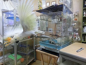 20150512-6.jpg 20150512-6.jpg