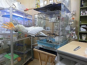 20150512-7.jpg 20150512-7.jpg