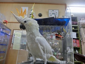 20150512-8.jpg 20150512-8.jpg
