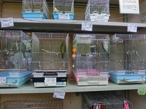 20150831-cimg7314.jpg 20150831-cimg7314.jpg