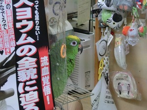 20160530-cimg8871.jpg 20160530-cimg8871.jpg