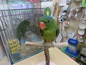 20160831-cimg9312.jpg 20160831-cimg9312.jpg