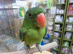 20160831-cimg9314.jpg 20160831-cimg9314.jpg