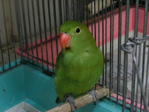 20160901-cimg9382.jpg 20160901-cimg9382.jpg