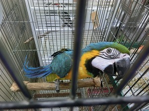 20161031-18.jpg 20161031-18.jpg