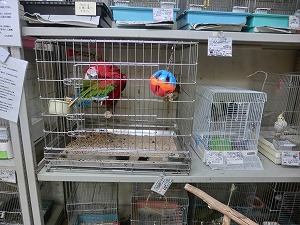 20161031-3.jpg 20161031-3.jpg