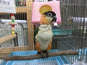 20161031-4.jpg 20161031-4.jpg