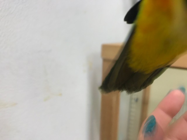 20190730-img_6673.jpg 20190730-img_6673.jpg