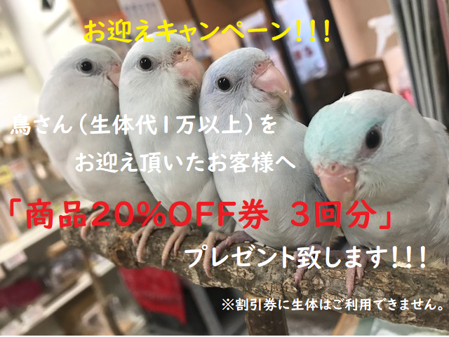 20190817-pop.png 20190817-pop.png