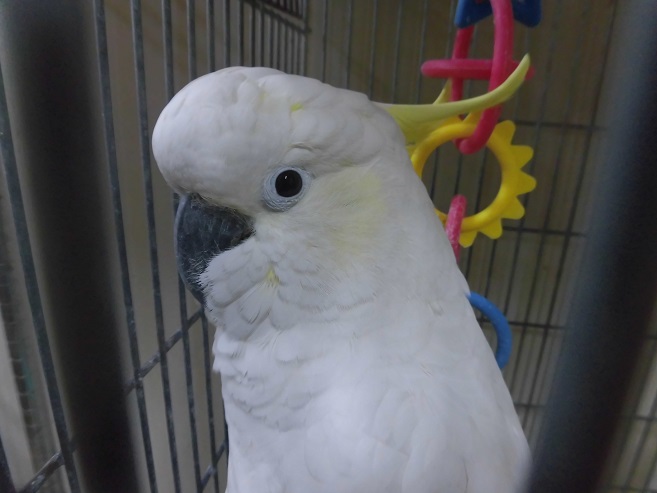 20150423-a.jpg 20150423-a.jpg