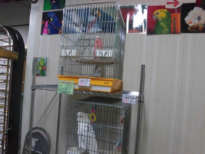 20150423-aaa.jpg 20150423-aaa.jpg