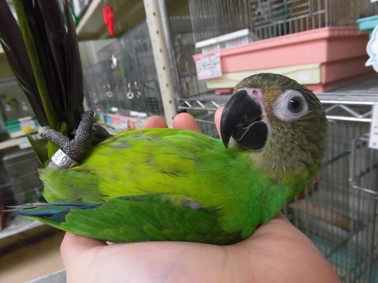 20150622-cimg1343.jpg