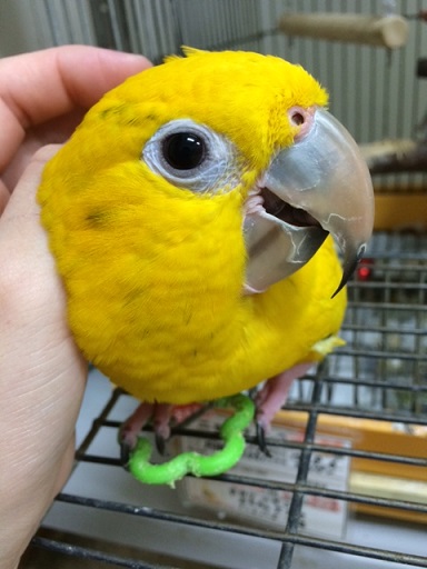 20150726-eeeww.jpg 20150726-eeeww.jpg