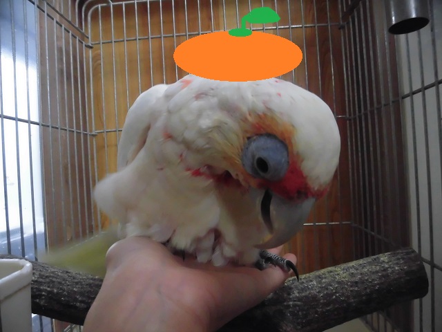 20151231-moti.jpg 20151231-moti.jpg