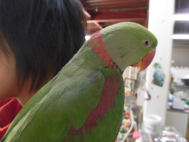 20160125-ooo.jpg 20160125-ooo.jpg