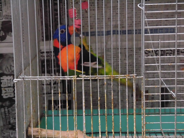 20160229-013.jpg 20160229-013.jpg