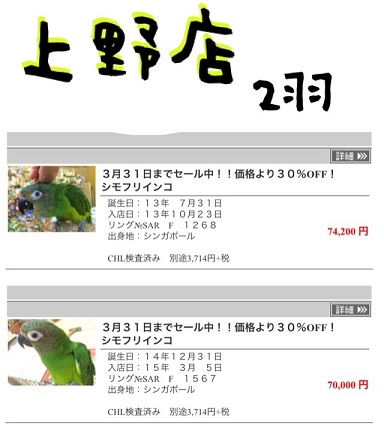20160306-securedownload__3_.jpg