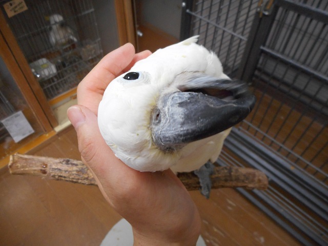 20160621-dscn0788.jpg 20160621-dscn0788.jpg
