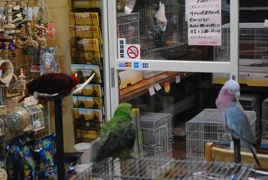 20150321--1.jpg 20150321--1.jpg