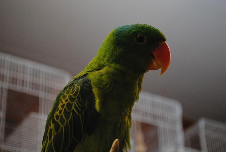 20150321-dsc_0025.jpg 20150321-dsc_0025.jpg