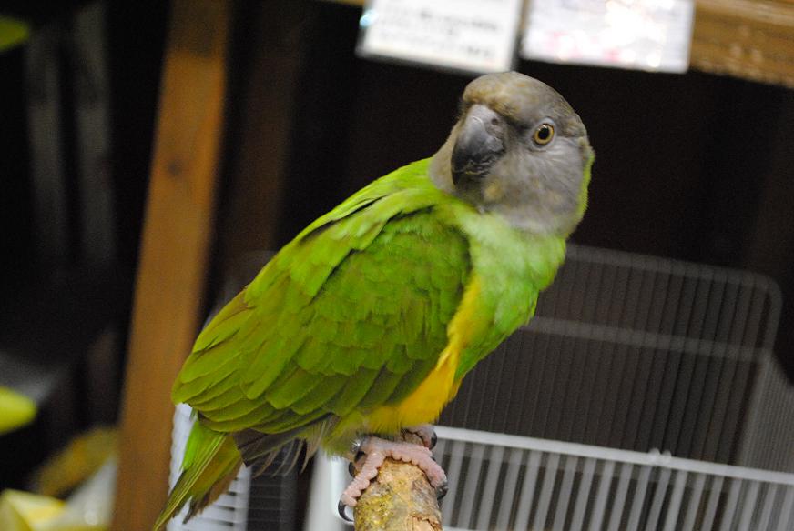 20150321-dsc_0027.jpg 20150321-dsc_0027.jpg