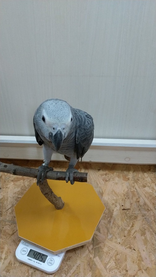 null null